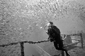 scuba instruction in Key Largo