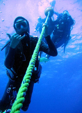 divers descend on a shipwreck in Key Largo 