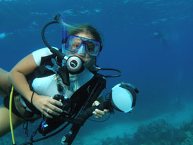 underwater photography instruction in the Florida keys