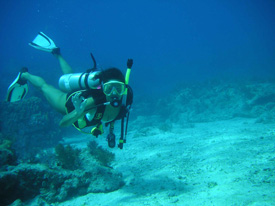 underwater sighting seeing in the Florida Keys