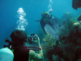 an underwater photographer capturing the decisive moment!