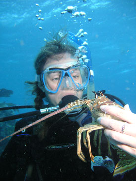 missed her lobster dinner in Key Largo