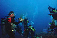 Scuba Lessons