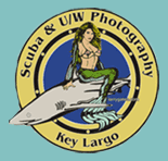 scuba instruction underwater photography lessons courses class key largo florida keys
