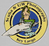 scuba instruction underwater photography lessons courses class key largo florida keys