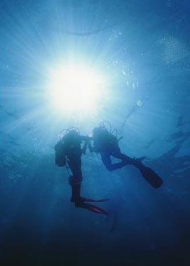 Divers in Key largo
