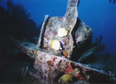 Underwater Photography by Larry Gates