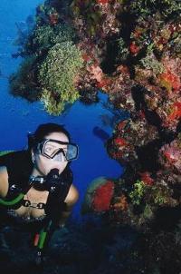 Discover Scuba Diving. Get Certified!