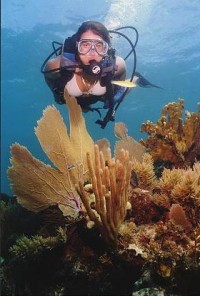 Underwater Photo - Female Scuba Dive and Fans