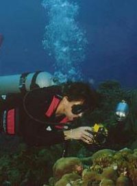 Underwater Photography Student