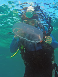 underwater photography course