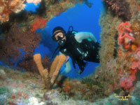 diving the Spiegel Grove