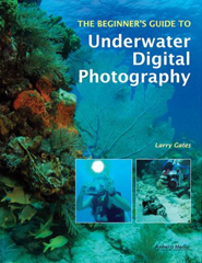 order my book on UW Photography here